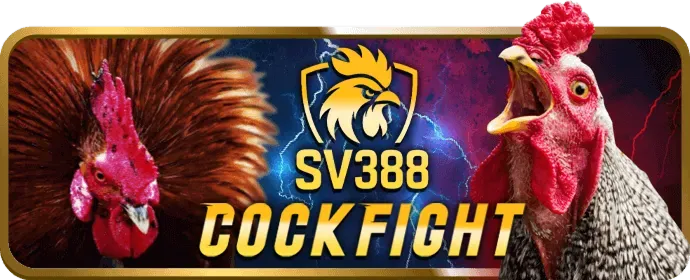 Cá cược đá gà trên di động với VX88 Login